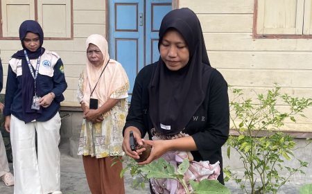 Mahasiswa KKN Unri Ajarkan Kelompok Wanita Tani Meskom Membuat Pestisida Nabati dari Daun Pepaya
