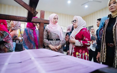 Fokus UMKM, DWP LLDIKTI Wilayah XVII Jajaki Kolaborasi dengan Dekranasda Riau