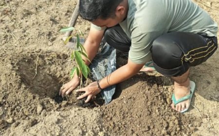 30 Bibit Pohon Ditanam Mahasiswa Kukerta Unri di Bantaran Sungai Indragiri