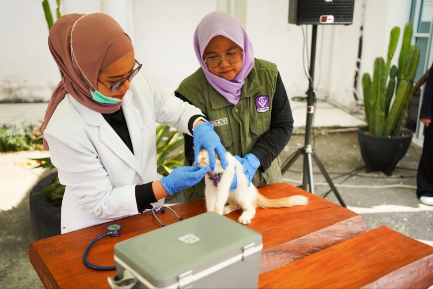 11 Daerah di Riau Masih Tertular Rabies, Pemprov Perkuat Vaksinasi