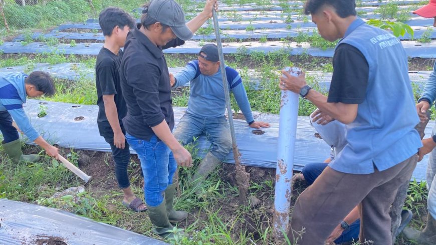 Mahasiswa KKN Unri di Desa Ketam Putih Bengkalis Kenalkan Biopori untuk Atasi Genangan di Lahan Cabai