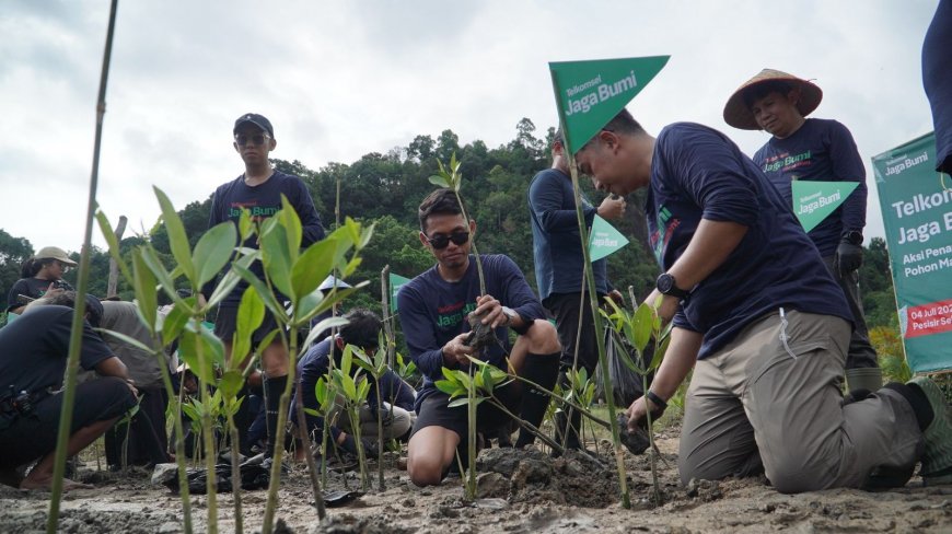 Gerakan Jaga Bumi, Telkomsel Tanam Mangrove di Pesisir Selatan