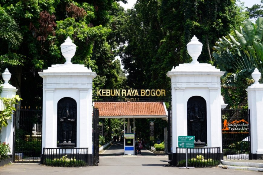 BRIN Ungkap 260 Tumbuhan Langka Hanya Tersimpan di Satu Kebun Raya