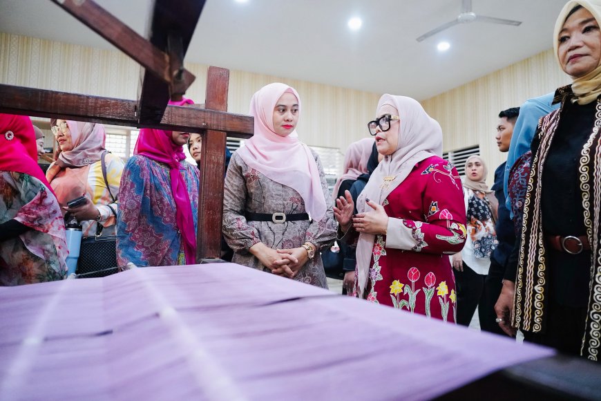 Fokus UMKM, DWP LLDIKTI Wilayah XVII Jajaki Kolaborasi dengan Dekranasda Riau