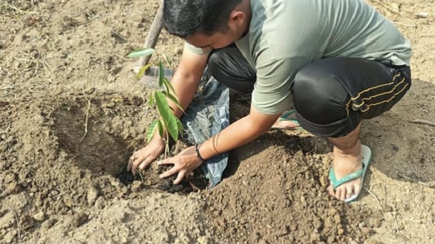 30 Bibit Pohon Ditanam Mahasiswa Kukerta Unri di Bantaran Sungai Indragiri