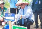 Kepala Daerah IMT-GT Tanam Pohon di Pekanbaru, Tegaskan Komitmen Pembangunan Kota Hijau