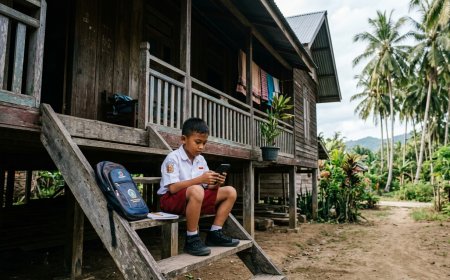 Diserang Monyet Liar, Sekolah di Tembilahan Terapkan Belajar Daring Selama Tiga Hari