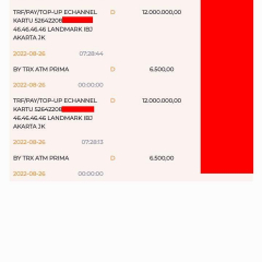 Transfer BNI-bank lain gagal namun saldo berkurang Ini langkah-langkah yang harus dilakukan